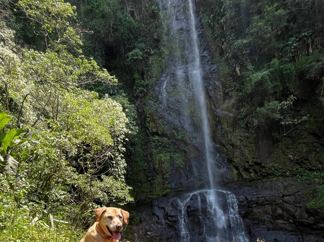 Cachoeira Magia Das Águas-Praia Grande必去景点