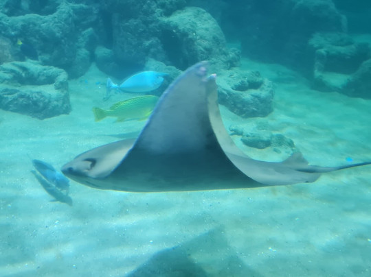 Aquarium Wilhelmshaven-威廉港必去景点