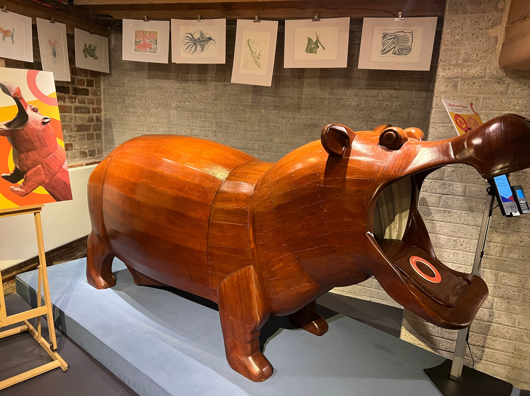 Poole Museum-普尔必去景点