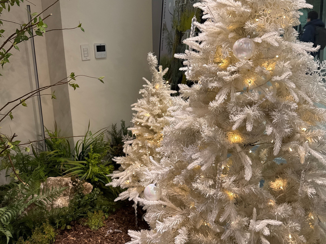 B The B-首尔必去景点