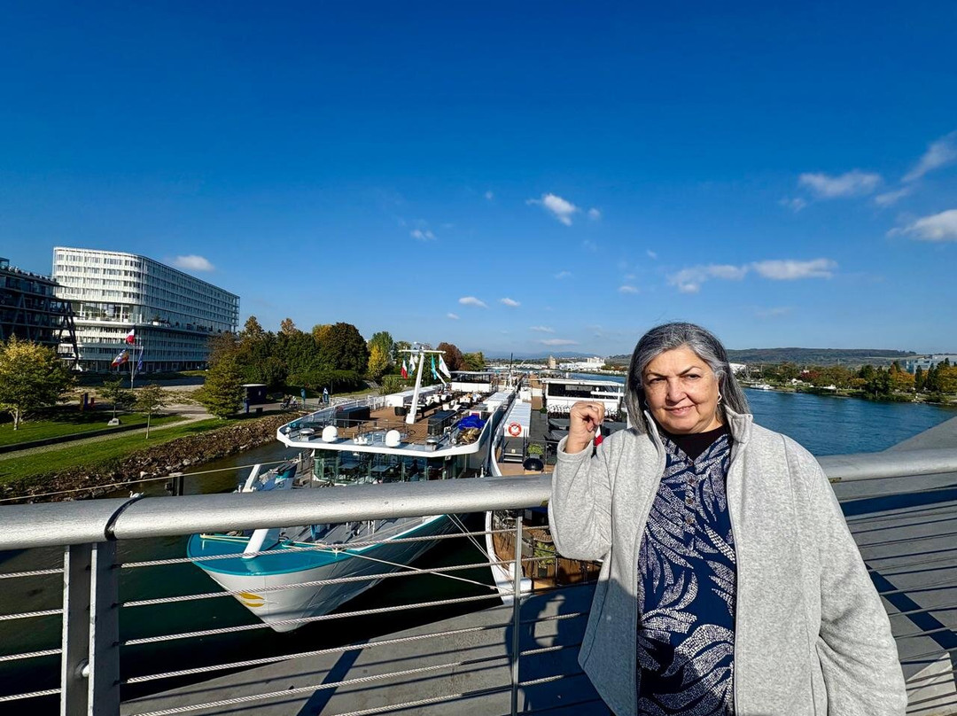 Three Countries Bridge-Huningue必去景点