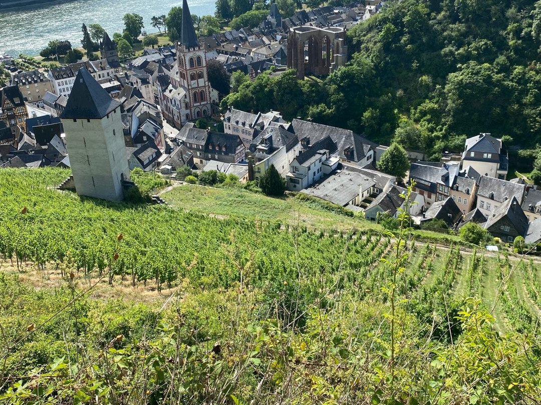 Postenturm-巴哈拉赫必去景点