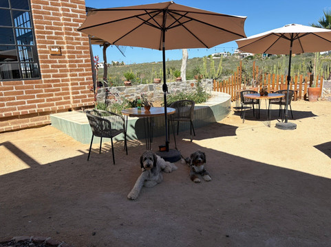 Panvero Whole Bakery主图