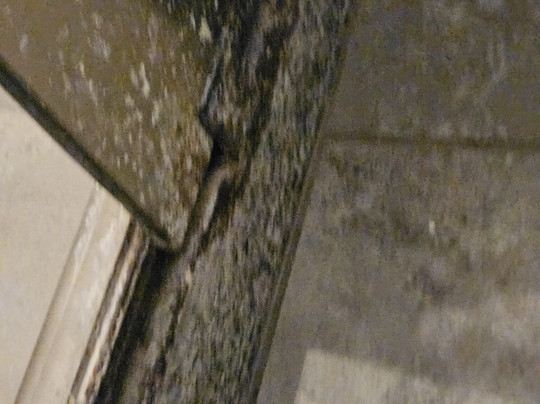 Hosteria del Parque主图