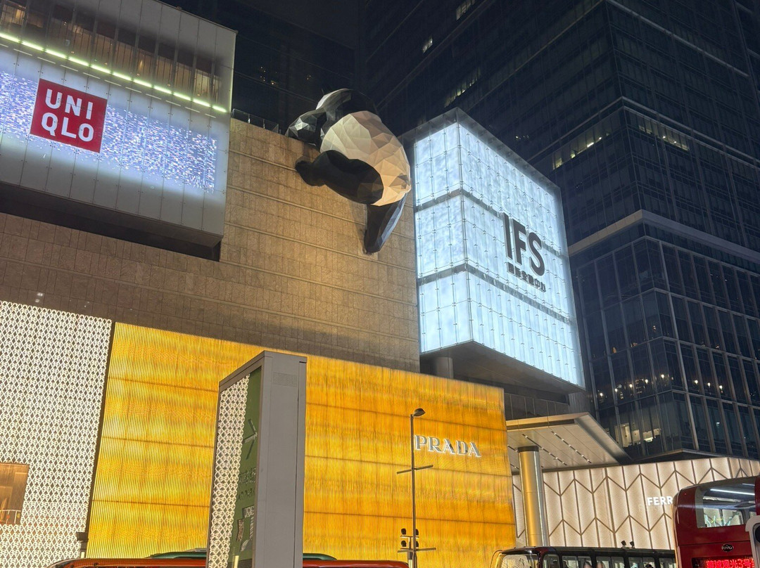 Chengdu Explorer-成都必去景点