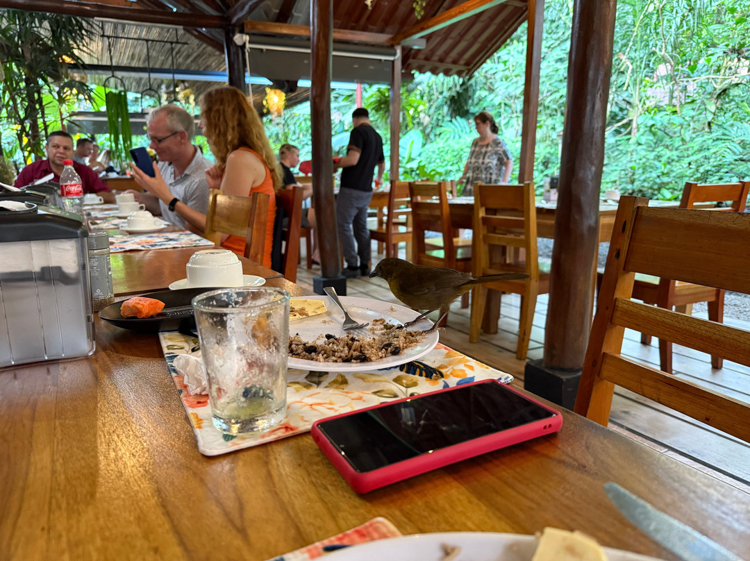 Arenal Oasis Wildlife Refuge-福德圣卡洛斯必去景点