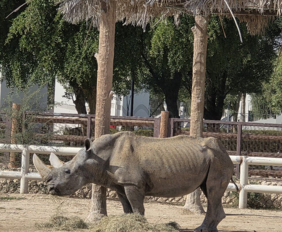 Al Khor Park-Al Khor必去景点