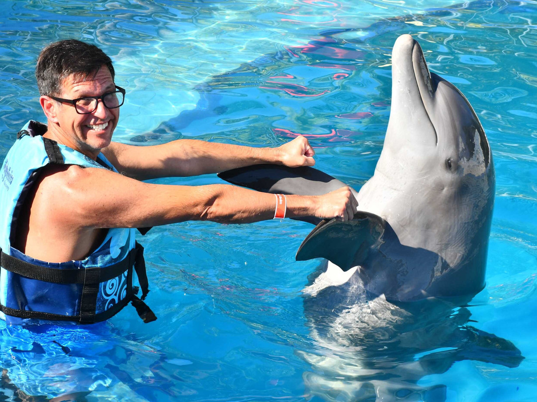 Dolphin Discovery Playa Del Carmen-普拉亚德尔卡曼必去景点