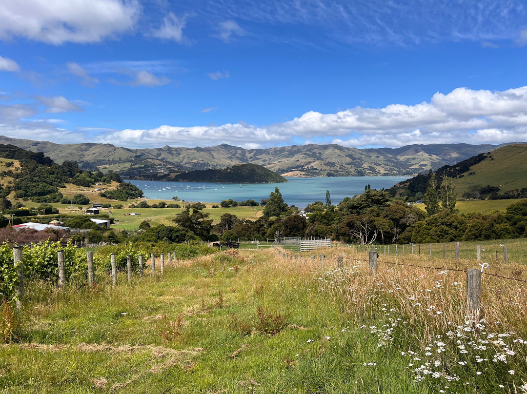 French Peak Vineyard-阿卡罗阿必去景点