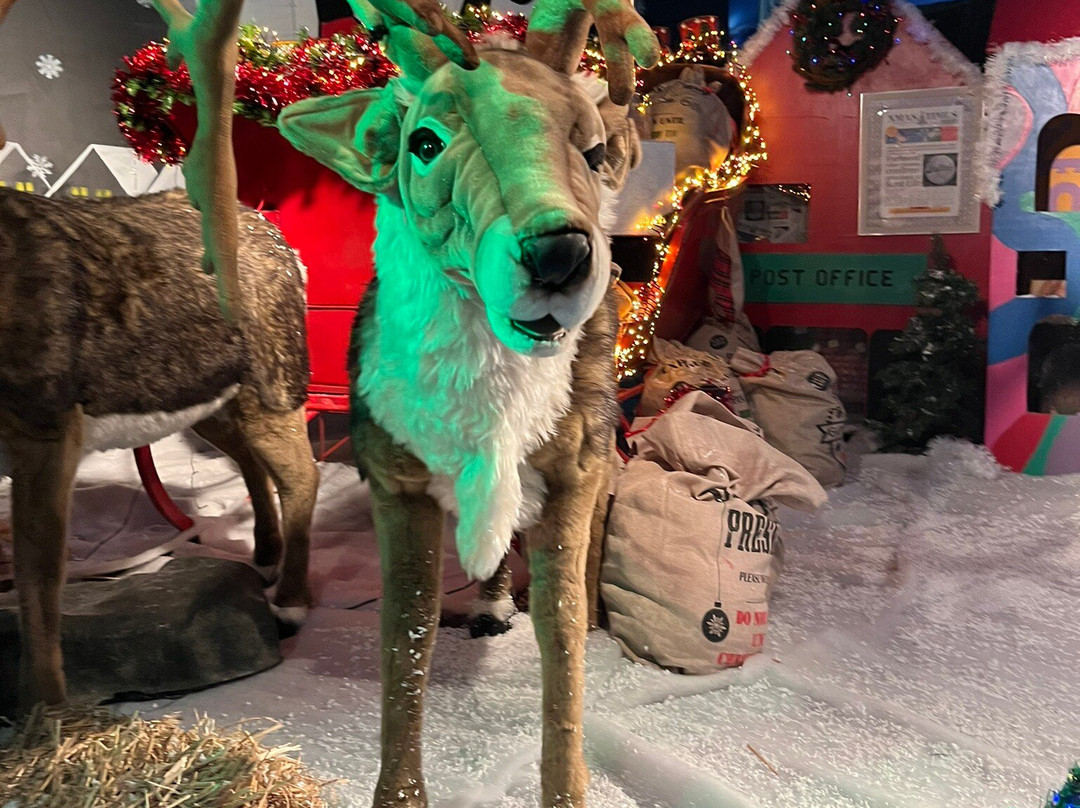 Kent Life-梅德斯通必去景点