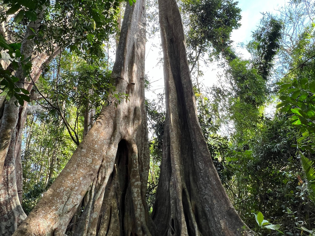 Banlung Nature Trekking Tours-邦隆必去景点