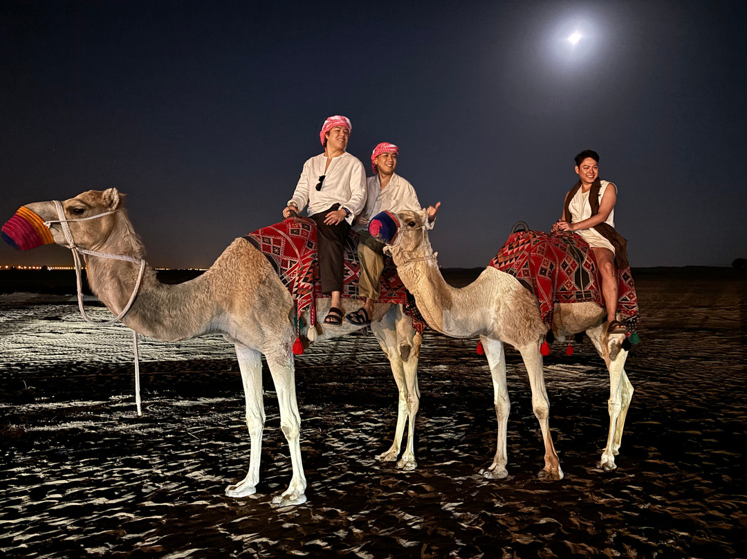 Global Tours Dubai-迪拜必去景点