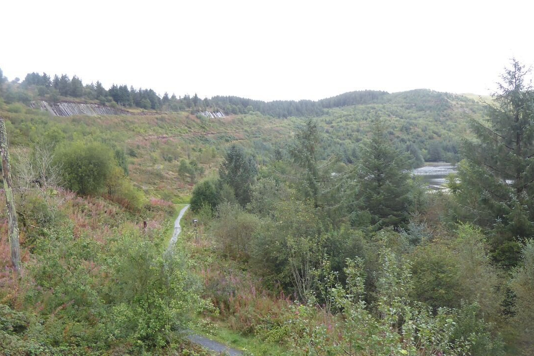 Bwlch Nant yr Arian Forest Visitor Centre-阿伯里斯特威斯必去景点