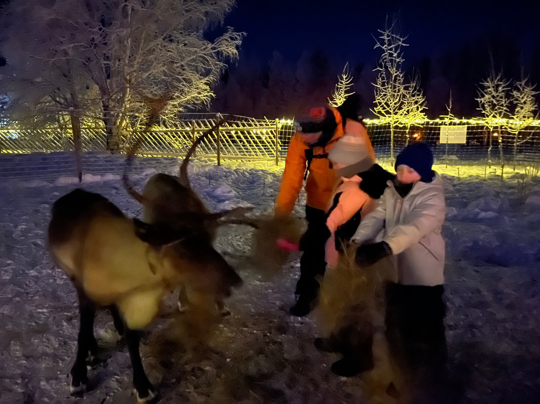 Northern Lights Park-罗瓦涅米必去景点