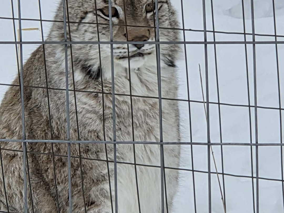 CineZoo-Sainte-Anne-de-la-Rochelle必去景点