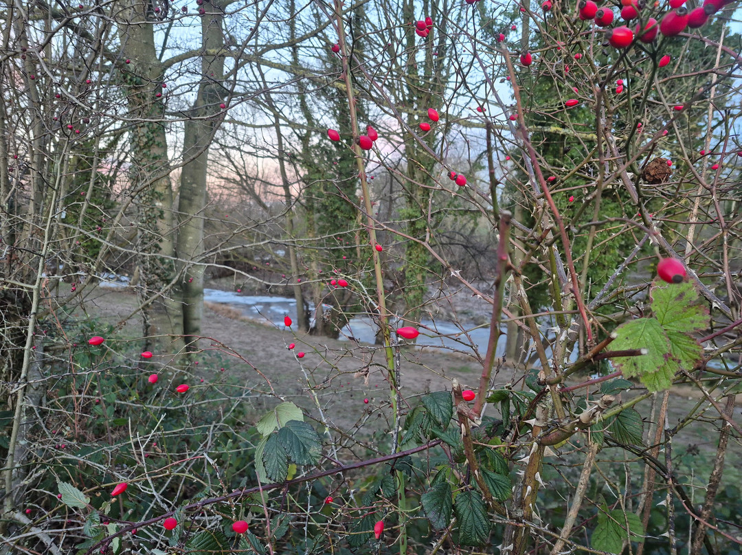 Piercebridge Roman Fort & Bridge-Piercebridge必去景点