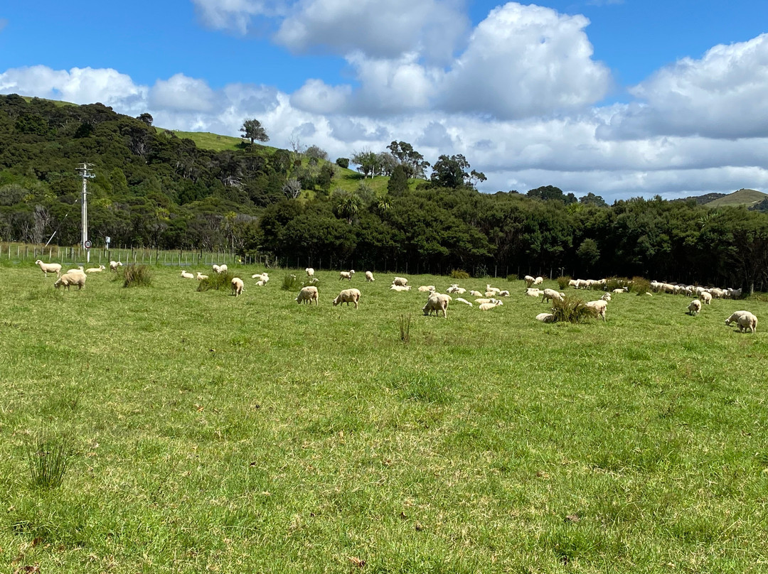 Wenderholm Regional Park-怀韦拉必去景点