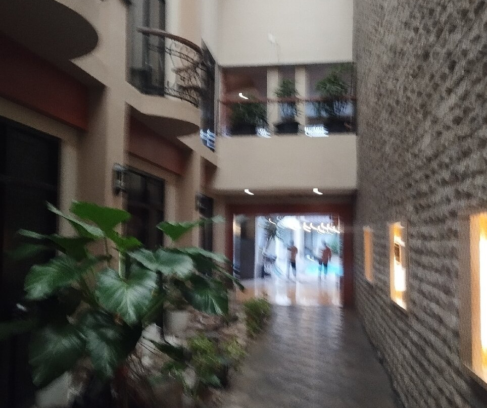 本塔尼酒店主图