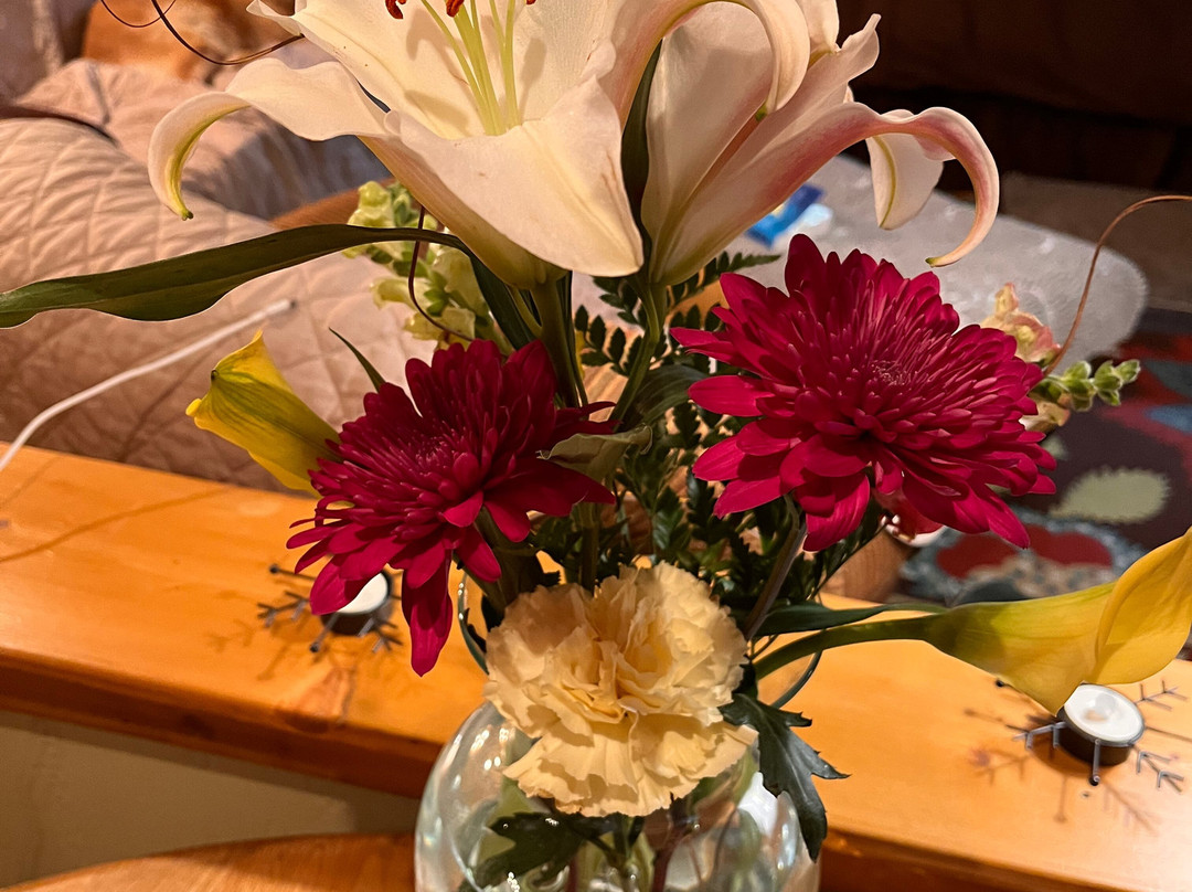 O-Bar-O Cabins主图