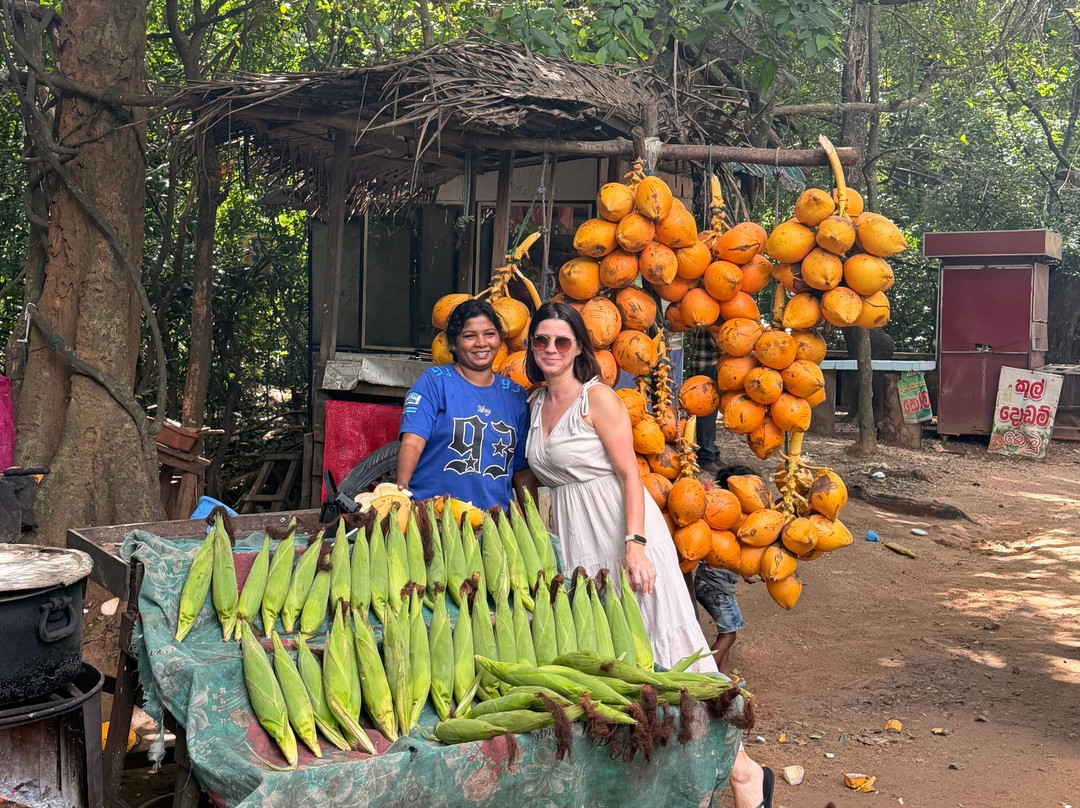 Sri Shannon Tours-尼甘布必去景点