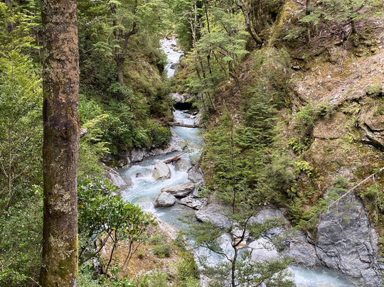 Paradise Ziplines-格伦诺基必去景点