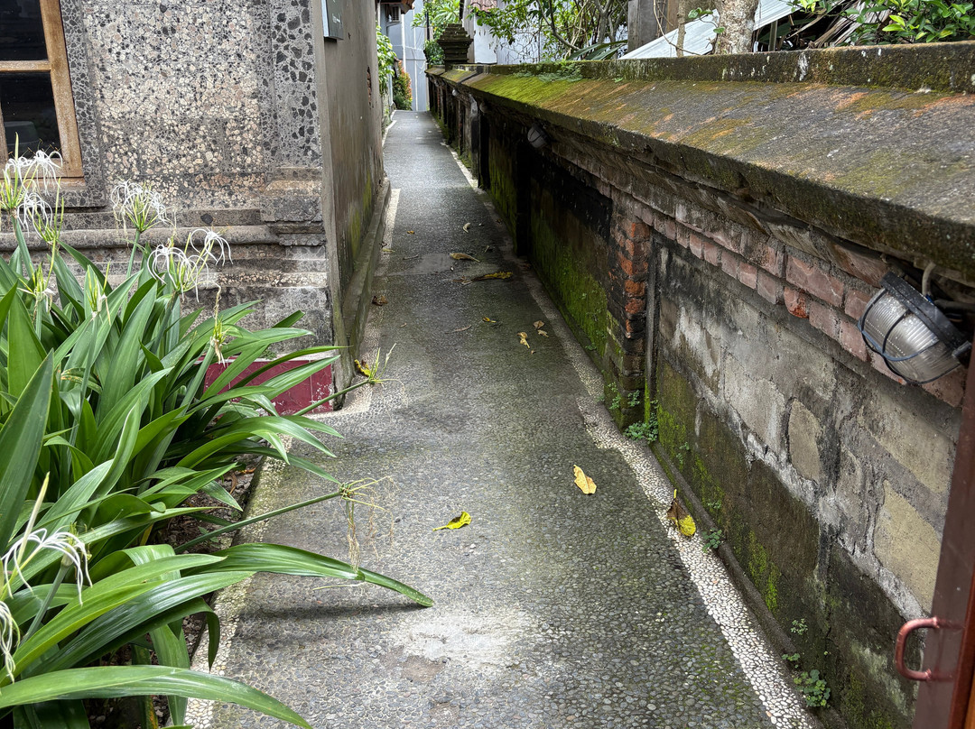 Ubud Tropical Garden 2主图