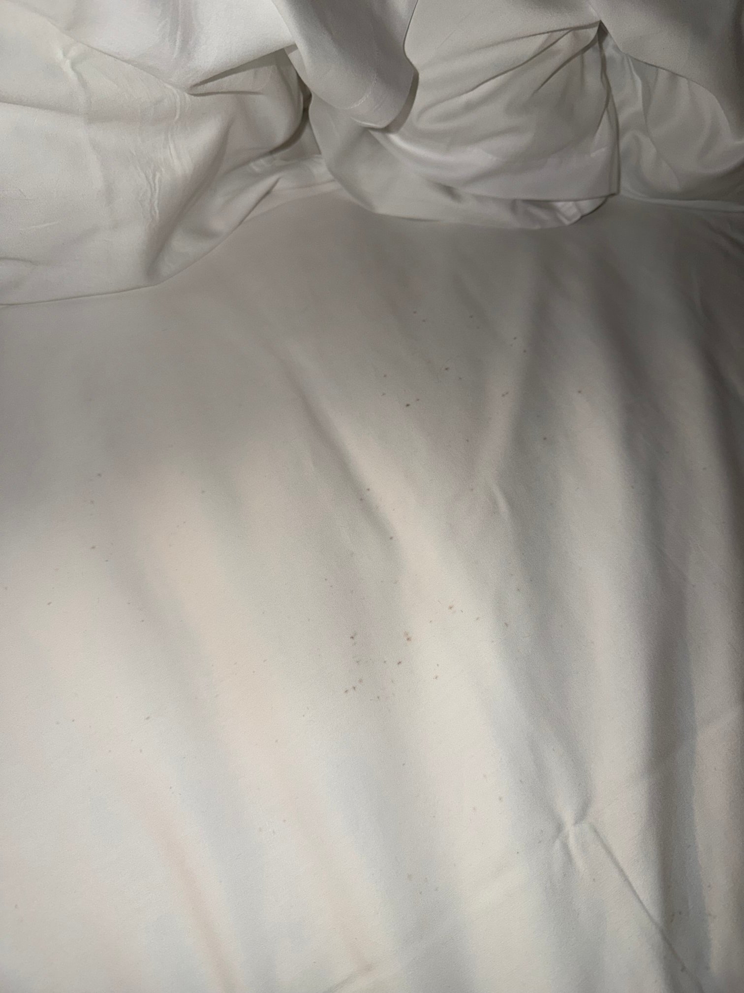 Radisson Hotel & Suites Zurich-官方