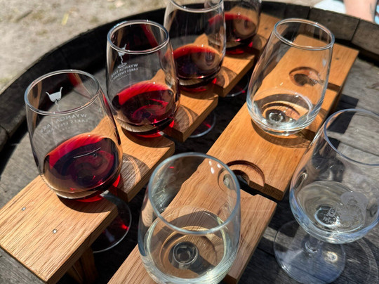 Wyanga Park Winery-莱克斯恩特伦斯必去景点