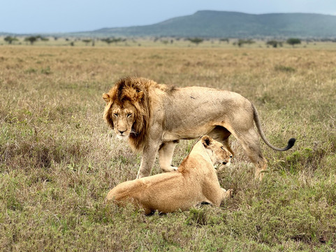 Angelino Adventures-莫西必去景点