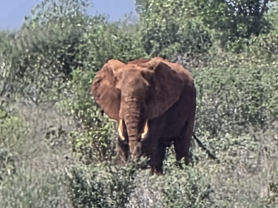 NelloSafari-瓦塔木必去景点