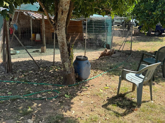 Residenza La Vigna主图