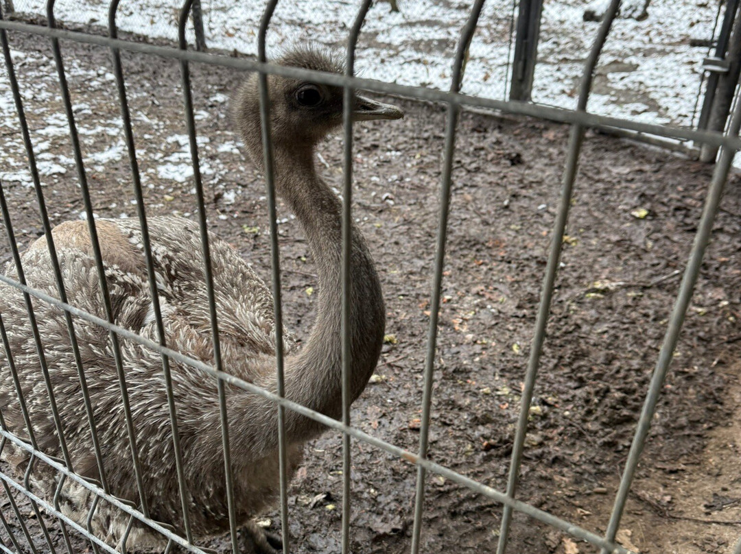 Szeged Zoo-塞格德必去景点