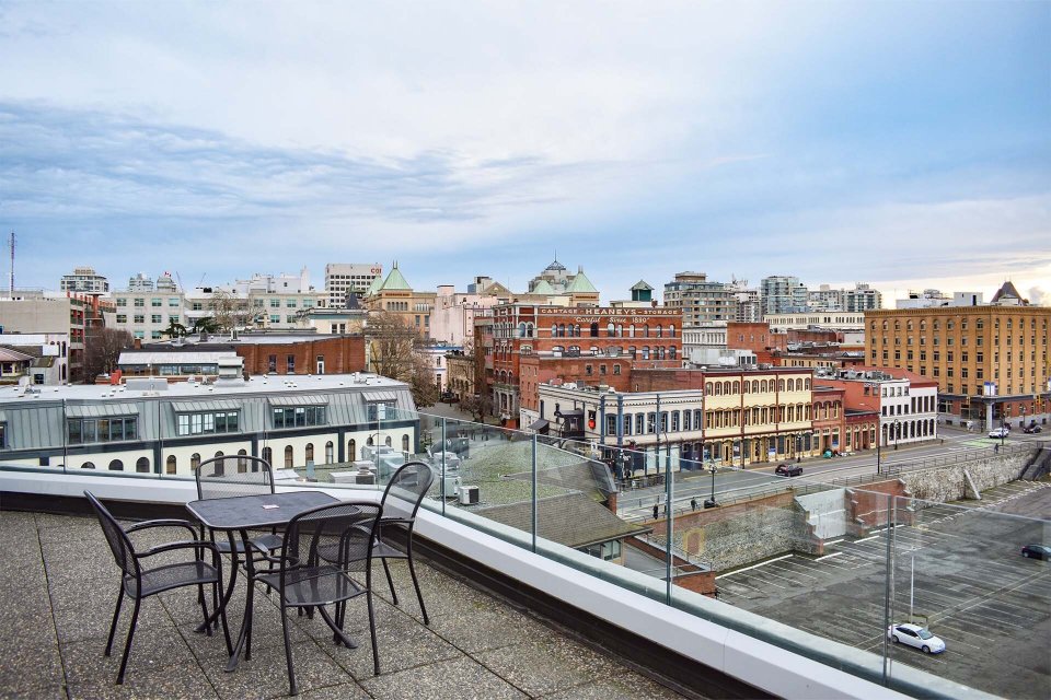 维多利亚丽晶海滨套房酒店-酒店景观