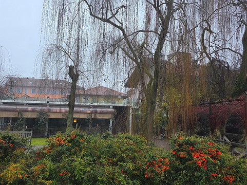 博尔戈努沃精品酒店主图