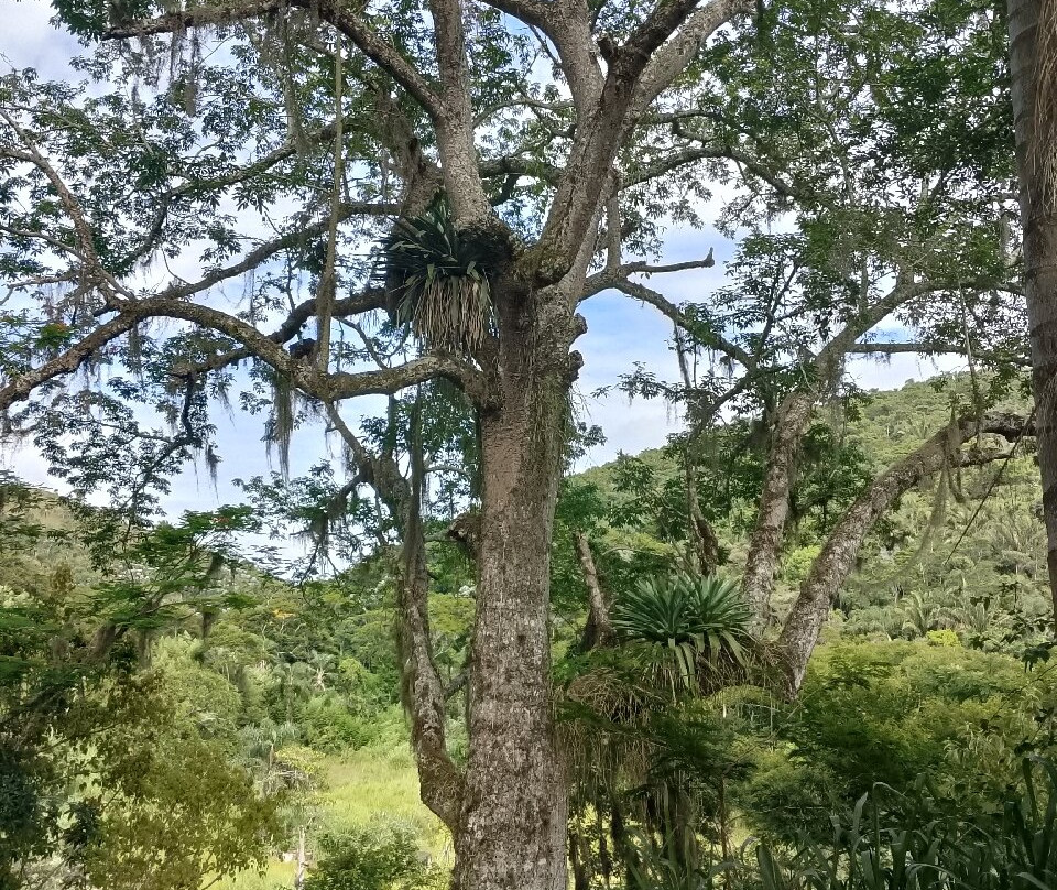 Fazenda Cachoeira Grande-Vassouras必去景点