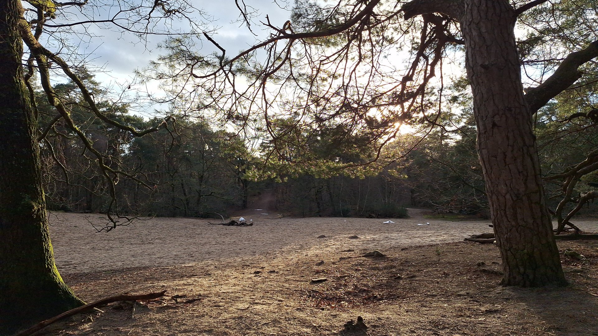 Buitenplaats De Bergse Bossen-官方