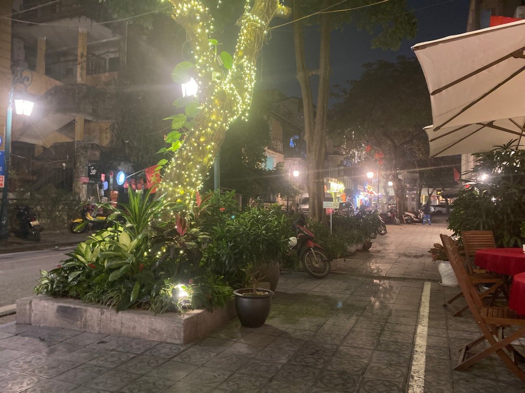 针叶树精品酒店-官方