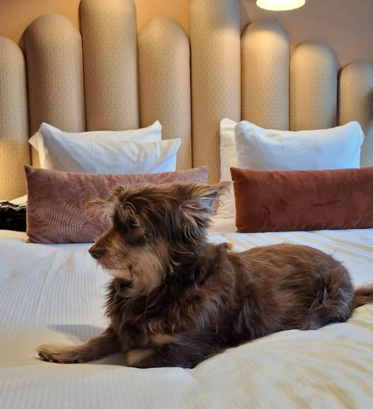 Hotel Zeeuws Licht I Kloeg Collection主图