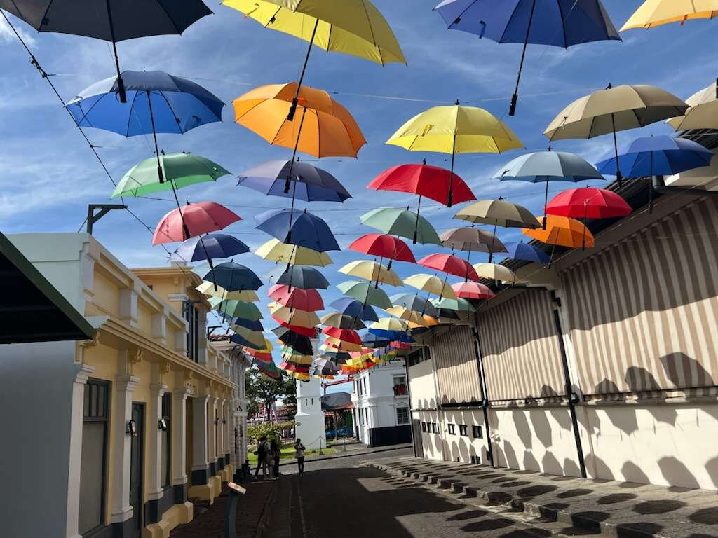 Tico Lingo-爱雷迪雅必去景点