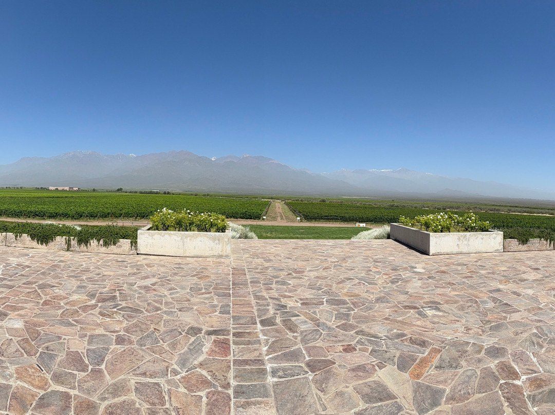 Bodega DiamAndes-门多萨必去景点