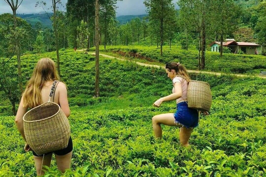 Deegayu Tour & Transport