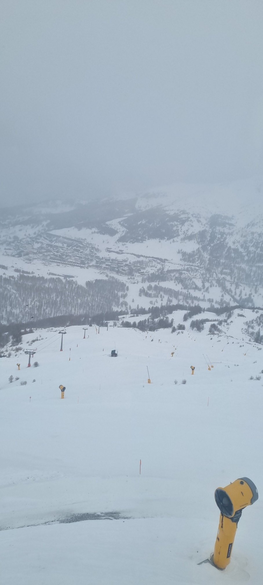 Tana Della Volpe-官方