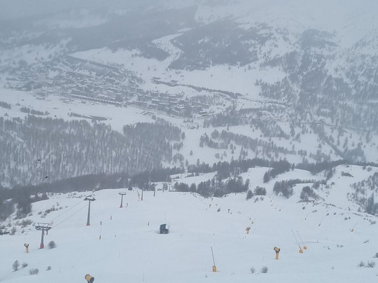 Tana Della Volpe主图