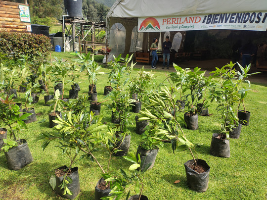 Periland Eco Parque & Camping-Cajica必去景点