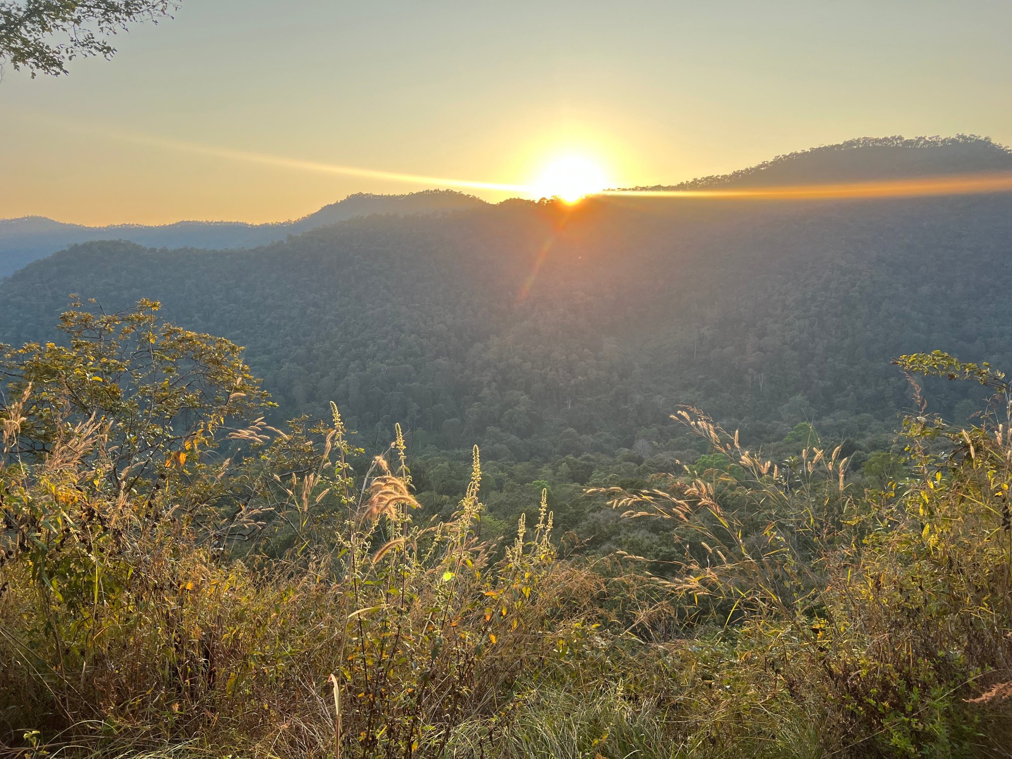 拉比昂帕萨克树屋度假村-官方