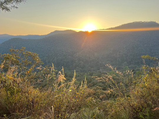 拉比昂帕萨克树屋度假村主图