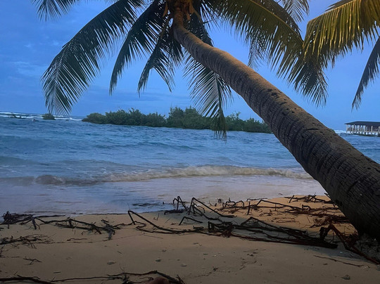 Cloud 9 Surfing Tower-锡亚高岛必去景点