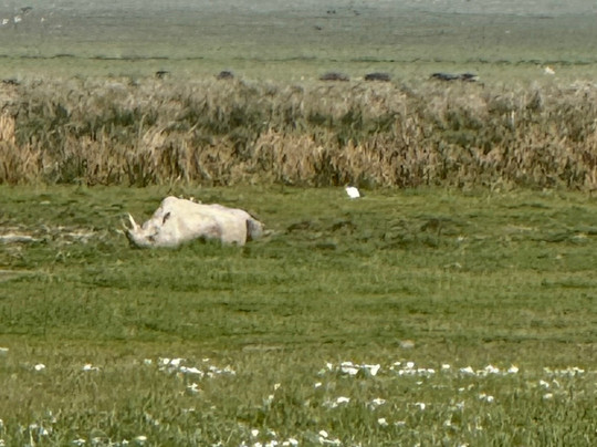 Unlimited Expeditions - The Soul Of Tanzania-阿鲁沙必去景点