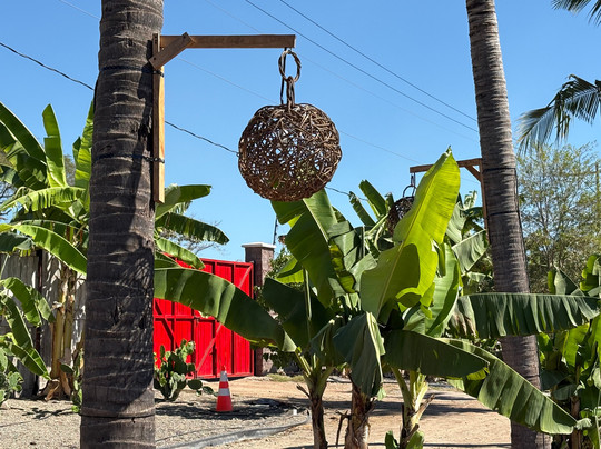 Rancho Orgánico El Edén-新瓦雅塔必去景点