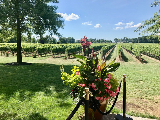 Two Sisters Vineyards-滨湖尼亚加拉必去景点